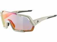 Alpina Rocket QV Sportbrille (Farbe: 521 cool grey matt, Quattroflex/Varioflex,