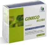 Ginkgo 100 mg + Vitamine C, E, B1 und Fols&auml;ure Kapseln