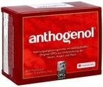Opc Original Masqueliers Anthogenol Kapseln