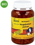 Hagebuttenpulver Kapseln