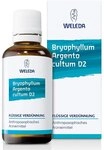 Bryophyllum Argento Cultum Dilution D2