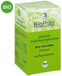 Bio Curcuma Kapseln