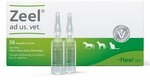 Zeel Ampullen veterin&auml;r