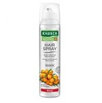 RAUSCH HAIRSPRAY Strong Aerosol