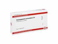 Harpagophytum Procumbens D6 Ampullen
