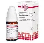 Syzygium Jambolanum D2 Globuli