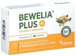 Bewelia Plus Weichkapseln