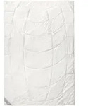 Sommerbett WILDSEIDE (BT 155x220 cm) - wei&szlig; - BT 155x220 cm
