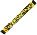 Schal BVB - bunt