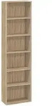 Regal MISTER OFFICE (BHT 81x215x36 cm) - BHT 81x215x36 cm
