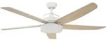 Deckenventilator