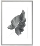 Bilderrahmen ELEGANCE silber (BH 76x106 cm) - silber - BH 76x106 cm