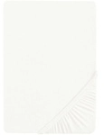 Spannbettlaken Feinjersey ( 180/200 - 200/200 cm) - 180/200 - 200/200 cm