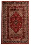 Teppich SAHARNA ( 300 x 395 cm) - 60 x 90 cm