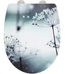 WC-Sitz POLAR (BT 36.50x45 cm) - bunt - BT 36.50x45 cm