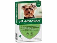 PZN-DE 08613305, Elanco Advantage 40 Lösung für Hunde bis 4 kg 4 St Lösung,