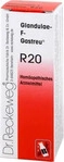 PZN-DE 07645349, Dr.RECKEWEG Glandulae F Gastreu R 20 Tropfen zum Einnehmen (22 ml),