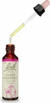 PZN-DE 00161654, Nelsons Bachbl&uuml;ten Sweet Chestnut Tropfen 20 ml, Grundpreis: &euro;