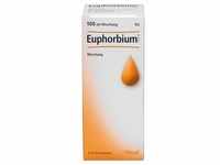 Euphorbium Compositum Sn Tropfen