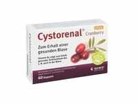 PZN-DE 05022549, Quiris Healthcare Cystorenal Cranberry plus Kapseln 60 stk