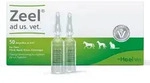 Zeel Ampullen veterin&auml;r