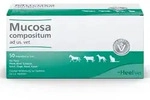 Mucosa Compositum Ampullen veterin&auml;r