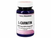 L-carnitin 250 mg Kapseln