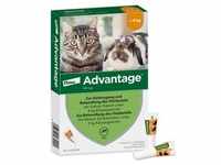 Advantage 40 mg für kl.Katzen und kl.Zierkaninchen