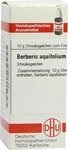 PZN-DE 07594770, DHU-Arzneimittel Berberis Aquifolium D4 Globuli (10 g), Grundpreis: