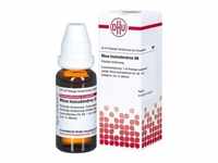 Rhus Tox. D6 Dilution