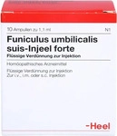 PZN-DE 00401727, Biologische Heilmittel Heel Funiculus Umbilicalis suis Injeel forte