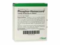 Phosphor Homaccord Ampullen
