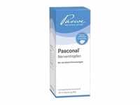 PZN-DE 00667193, Pascoe pharmazeutische Präparate Pasconal Nerventropfen 100 ml,