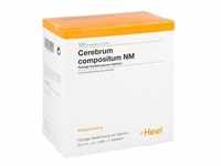 Cerebrum Compositum Nm Ampullen