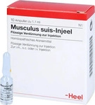 PZN-DE 00693339, Biologische Heilmittel Heel Musculus suis Injeel Ampullen (10 stk)