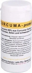 PZN-DE 13977972, ALLPHARM Vertriebs Curcuma Protect Kapseln 90 stk