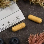 PZN-DE 15814375, Supplementa Multi Komplex Kapseln 90 stk