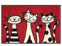 WASH + DRY Fußmatte 50 x 75 cm Motiv THREE CATS Drei Katzen rot