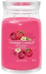 YANKEE CANDLE Gro&szlig;e Signature Kerze RED RASPBERRY 567 g Duftkerze