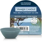 YANKEE CANDLE Wax Melt BAYSIDE CEDAR 22 g Duftwachs