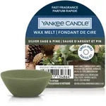 YANKEE CANDLE Wax Melt SILVER SAGE & PINE 22 g Duftwachs