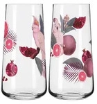 RITZENHOFF Universalglas SOMMERSONETT D-Tox Set F24 mit 2 St&uuml;ck Inhalt je 614...