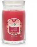 YANKEE CANDLE Gro&szlig;e Signature Kerze SANTA ON SKIS 567 g Duftkerze