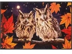 WASH + DRY Fu&szlig;matte 50 x 75 cm Motiv NIGHT OWLS Eulen