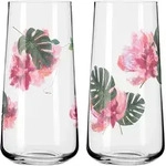 RITZENHOFF Universalglas SOMMERSONETT D-Tox Set mit 2 St&uuml;ck Inhalt je 614 ml