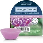 YANKEE CANDLE Wax Melt WILD ORCHID 22 g Duftwachs