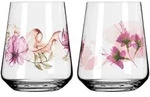 RITZENHOFF Wasserglas-Set Allround-Glas SOMMERSONETT # 1 / # 2 je 500 ml 2 St&uuml;ck