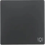 Berker 16206046 Wippe mit Aufdr Symbol Licht Q.x ant