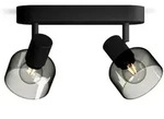 Philips 2er Sleet Decken-/Wandspot in Schwarz IP20 - E14 Fassung - aus Glas und