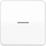 JUNG HOME Taster 1fach mit Lichtleiter, alpinwei&szlig; BT CD 17101 WW